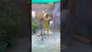 Prank On Mummy Fly karke 🤣dance trending youtubeshorts viraldance punjab [upl. by Haran]