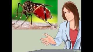 Vídeo informativo sobre el Dengue y el virus del Chikungunya [upl. by Alexandre]