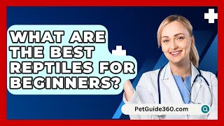 What Are the Best Reptiles for Beginners  PetGuide360com [upl. by Eidahs]