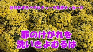 20241124「罪のけがれを洗いきよむるは」ルカ113744 はなみずきベテルチャーチ 主日礼拝メッセージ 西住啓牧師 [upl. by Dido]