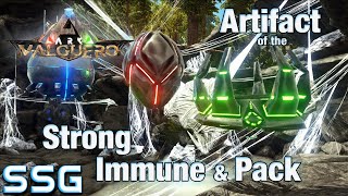 ARK Valguero How to get the Artifact of the Strong Immune amp Pack SEESHELLGAMING [upl. by Birchard]