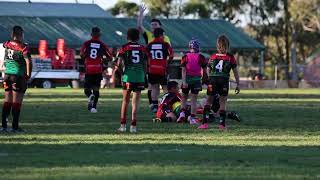 U11 Div 1 Rugby League  Colyton vs St Clair RD10 2023 [upl. by Lana965]