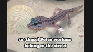 Full vid update to quotPetCo did thisquot [upl. by Oiznun381]