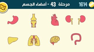 حل مرحلة ٤٣ كلمات كراش 43 kalimat krach [upl. by Airdnahc]