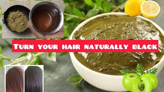 Turn your grey hair naturally color your hair black using hennaamla pack [upl. by Prasad422]