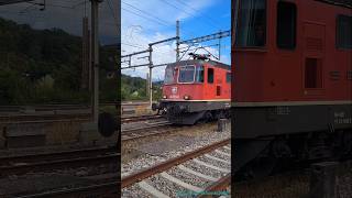 SBB Güterzug und SBahn beim Bahnhof KillwangenSpreitenbach [upl. by Swithbart]