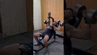 Body Recomposition Day 14 fitpharmacist minivlog bodyrecomposition ytshorts viralshorts gym [upl. by Gregor]