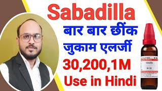 Sabadilla 302001M uses in hindi  sabadilla homeopathic medicine  बार बार छीक जुकाम एलर्जी की दवा [upl. by Fari]