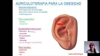 17 Auriculoterapia para bajar de peso Tratamiento de la obesidad Centro IMG [upl. by Ramoh]