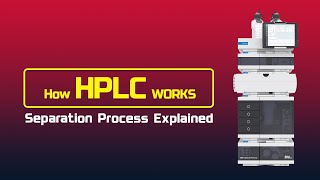 How HPLC Works The Separation Process Explained [upl. by Neelyt]