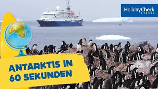 Antarktis in 60 Sekunden  Reisetipps für den Urlaub  HOLIDAYCHECK [upl. by Rudd50]