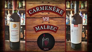 Carmenère 🇨🇱 vs Malbec 🇦🇷  ¿Podrán parecerse 🍷 [upl. by Nam]