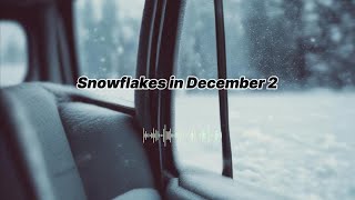 Snowflakes in December 2 [upl. by Nyltiak56]