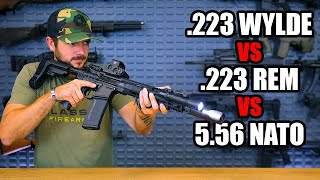 The Best AR15 Barrel 223 Wylde vs 556 [upl. by Specht]