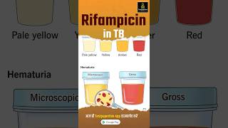 What is Rifampicin  Rifampicin in TB rifampicin nursing testpaperlivenursing shortvideo aiims [upl. by Hu]