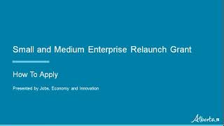 SME Relaunch Grant – New Application [upl. by Enoob620]