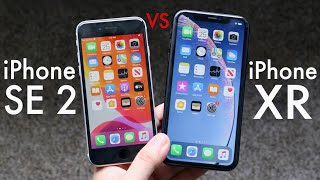 iPhone SE 2020 Vs iPhone XR Comparison Review [upl. by Ulane]