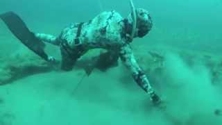 World Record Grouper and Giant Lobsters  Spearfishing with Cameron Kirkconnell [upl. by Avuha]