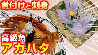 自分で釣ったアカハタの煮付けと刺身が絶品だった。 [upl. by Bevvy32]