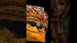 Barsane ki chhori  Radharani  Radhakrishna  shorts trending krishna harekrishna [upl. by Sairahcaz]