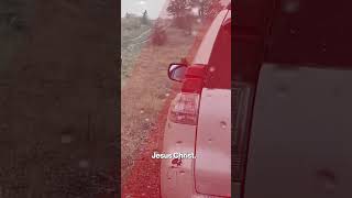 Terrifying moment bear release into wild by charity turns on ranger and attack tiktok funny [upl. by Altheta]