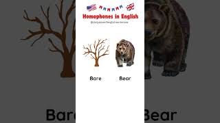 Homophones in English  Homophones Explained learnenglish homophones [upl. by Ahsilav68]