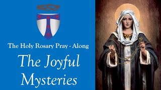 Rosary PrayAlong Joyful Mysteries [upl. by Uranie]