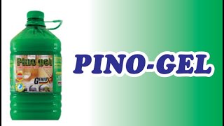 PINO GEL [upl. by Slack43]