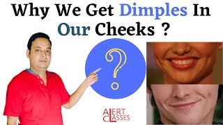 Why Dimples In Our Cheeks 🤔 shorts shortvideo youtubeshort [upl. by Artie]