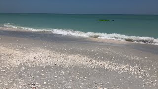 Live shelling  Sanibel Florida [upl. by Gerrit8]