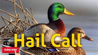 Duck Hunting Call  Mallard Hail Call  Free Download [upl. by Siurtemed]