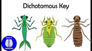 Dichotomous Key [upl. by Ylicis29]