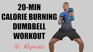 20Minute Standing Calorie Burning Workout with Dumbbells [upl. by Peta90]