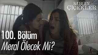 Meral ölecek mi  Kırgın Çiçekler 100 Bölüm [upl. by Adora148]