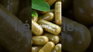 MORINGA LE SUPERALIMENT ENERGETIQUE APRES 55 ANS Moringa [upl. by Pearse]