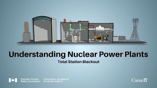 Understanding Nuclear Power Plants Total Station Blackout [upl. by Swirsky]