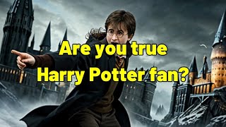 Test Your Wizarding Wits The Ultimate Harry Potter Book 1 Challenge [upl. by Elleynod]