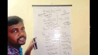 English grammar in malayalam  Primary Auxiliaries  Class 2 [upl. by Resiak36]