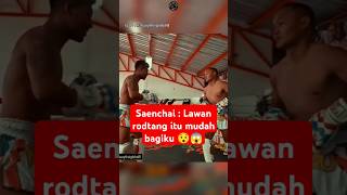 Rodtang vs legend muaythai Saenchai 😯😱 boxing boxingskill fight mma bangghalyh [upl. by Anaujit]