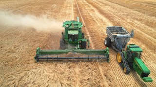 Bashing Out Barley amp Bagging It  Harvest Australia 2022 [upl. by Susi]