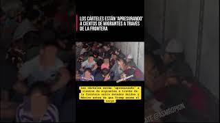 Inmigrantes apresuran el paso a EEUU en la frontera de Mexico por Donal Trump shorts noticias [upl. by Philpot646]