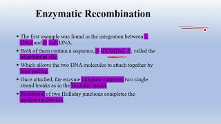 Site Specific Recombination [upl. by Jacquie]