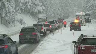 Blizzard brings more snow to northern California [upl. by Eigna151]