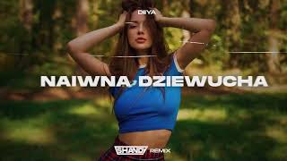 Diiya  Naiwna Dziewucha SHANDY REMIX [upl. by Dnomsed]