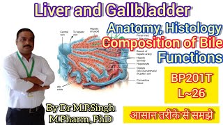 Liver amp Gallbladder  Composition of Bile  Functions  Human Anatomy PhysiologyII  BP201T  L26 [upl. by North]