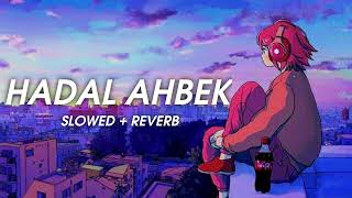 Hadal Ahbek  Issam Alnajjar Slowed amp Reverb [upl. by Tilly735]