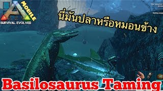 Ark Mobile มือถือ EP67 จับปลาวาฬยักษ์บาซิโลซอรัสกันเถอะBasilosaurus Taming [upl. by Fiora]