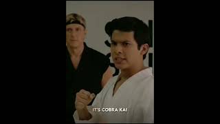 Cobra Kai dab scene 😄😎😎😎 [upl. by Eelrebmyk26]