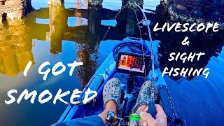 Kayak Fishing Chesapeake Bay Stripers and Redfish Livescope and Sight Fishing [upl. by Ettegdirb]