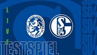 TESTSPIEL RELIVE  SSVg Velbert vs FC Schalke 04 [upl. by Lightman]